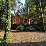 Unieke Boomhutten Met Hot Tub Door Bed En Boshuisjes