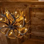 Unieke Boomhutten Met Hot Tub Door Bed En Boshuisjes