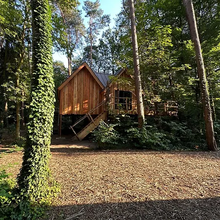 Unique Treehouses With Hot Tub By Bed En Boshuisjes