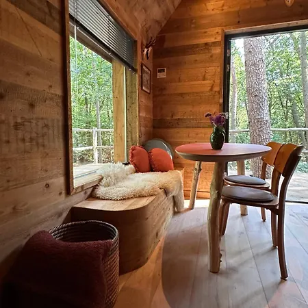 Unique Treehouses With Hot Tub By Bed En Boshuisjes * Ойстервейк