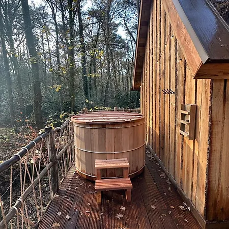 Unique Treehouses With Hot Tub By Bed En Boshuisjes * Ойстервейк