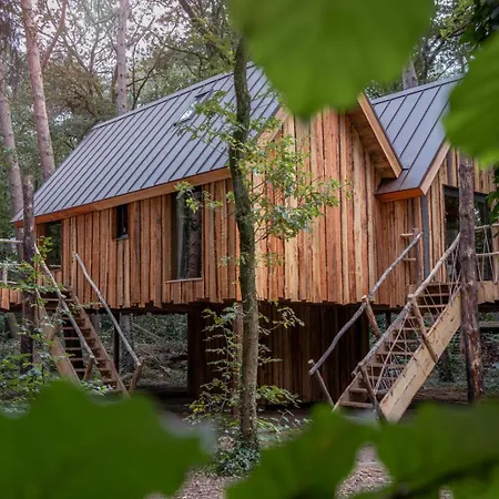 New Unique Treehouses With Hot Tub In * Oisterwijk