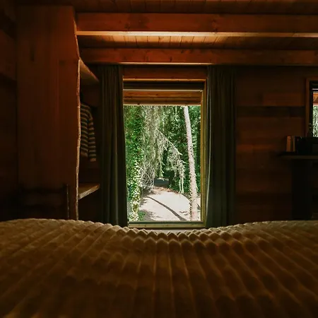 Holiday home Unique Treehouses With Hot Tub By Bed En Boshuisjes