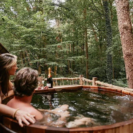 Unique Treehouses With Hot Tub By Bed En Boshuisjes Holiday home Oisterwijk
