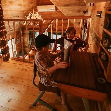 Unique Treehouses With Hot Tub By Bed En Boshuisjes Oisterwijk