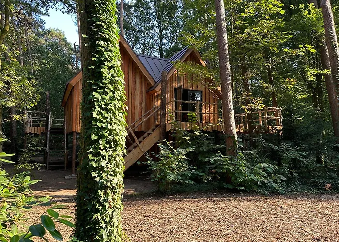 New Unique Treehouses With Hot Tub In Casa de Férias *