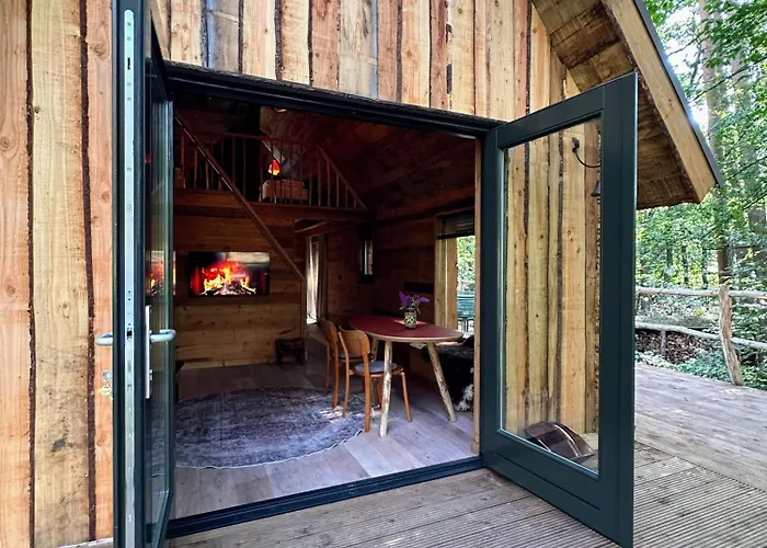 New Unique Treehouses With Hot Tub In Oisterwijk