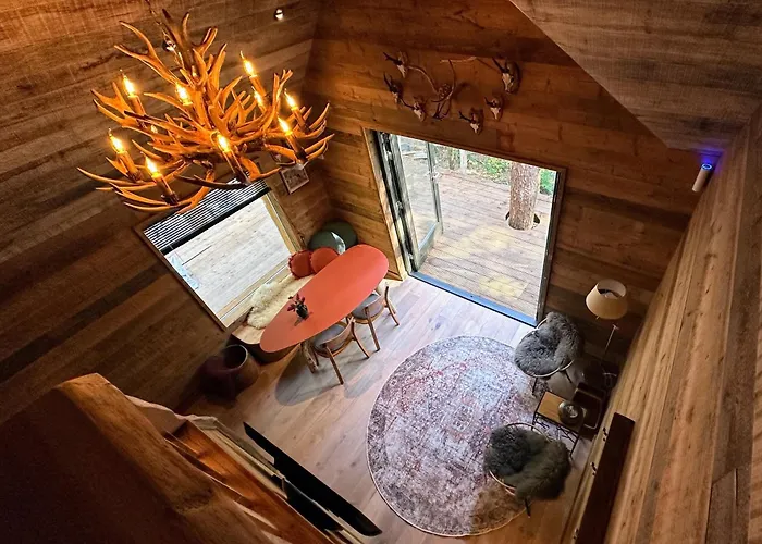 Σπίτι διακοπών New Unique Treehouses With Hot Tub In Oisterwijk