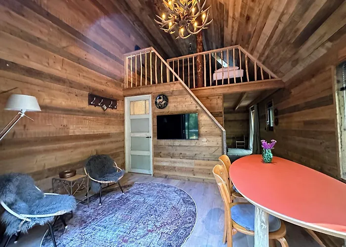 New Unique Treehouses With Hot Tub In Oisterwijk