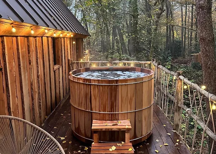 New Unique Treehouses With Hot Tub In Oisterwijk