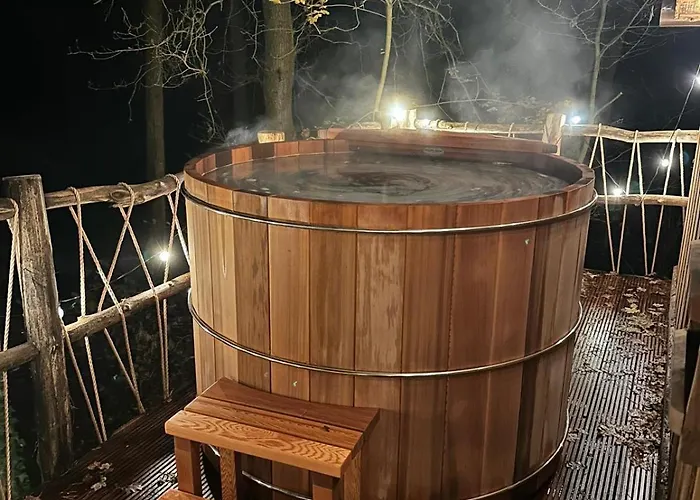 New Unique Treehouses With Hot Tub In Oisterwijk