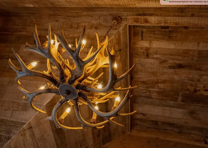 New Unique Treehouses With Hot Tub In