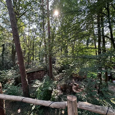 New Unique Treehouses With Hot Tub In Holiday home *