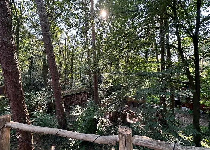 New Unique Treehouses With Hot Tub In Holiday home *