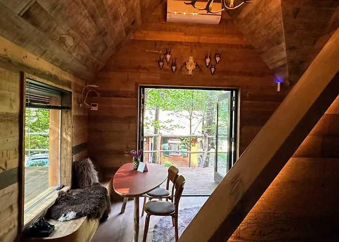 New Unique Treehouses With Hot Tub In Holiday home Oisterwijk