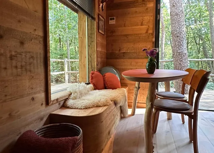 New Unique Treehouses With Hot Tub In * Oisterwijk