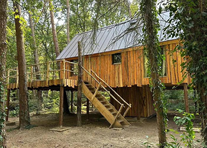 New Unique Treehouses With Hot Tub In Holiday home *