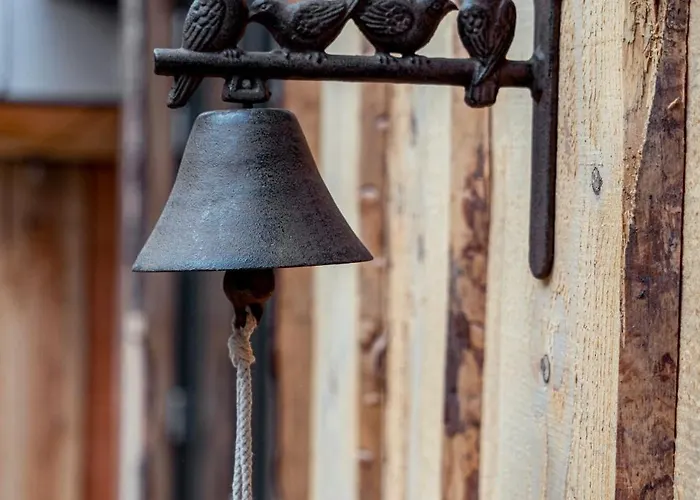 New Unique Treehouses With Hot Tub In Holiday home Oisterwijk